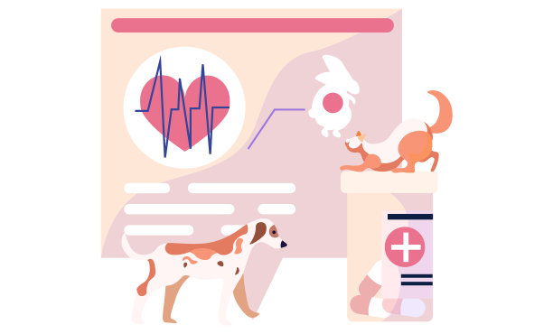 宠物护理、医疗保健、猫、狗等图片下载