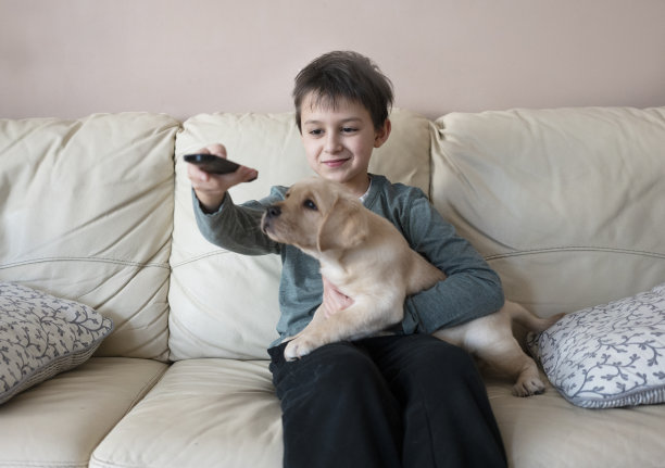 可爱的男孩和小狗一起看电视图片下载