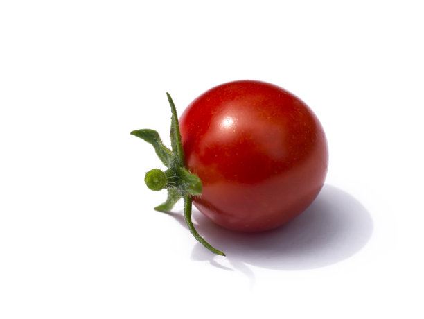 特写西红柿在白色的背景图片下载