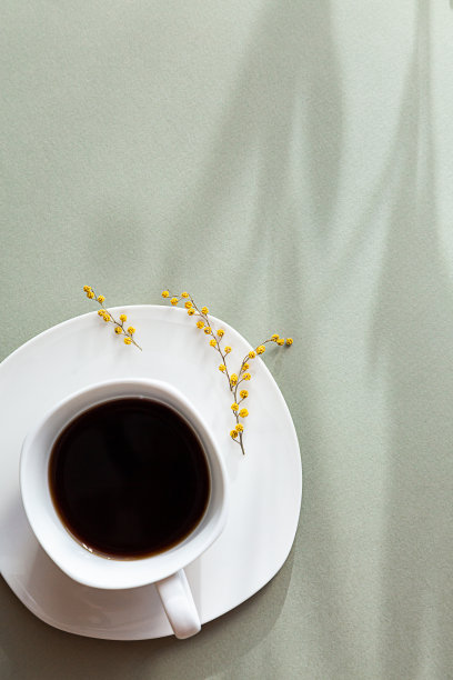 极简主义的春天静物生活。白杯黑咖啡，淡绿色背景上的长长的阴影。副本的空间。图片下载