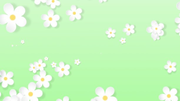 种植花卉背景，纸花出现，植物图案，新娘圆花束，纸工艺，4k动画图片下载