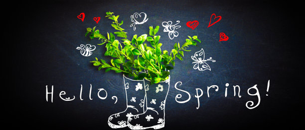 你好,春天!在彩色背景上手绘图片下载