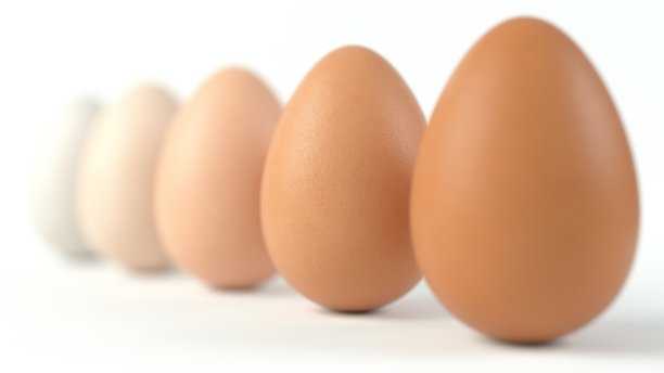五种色调的鸡蛋，3d插图图片下载