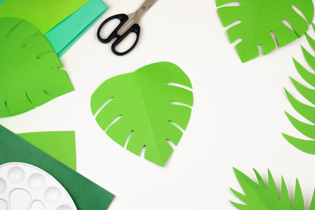 丛林派对装饰俯视图。手工夏威夷装饰。纸剪棕榈和怪兽叶工艺图片下载