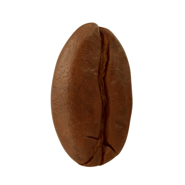 白色背景上的咖啡豆特写图片下载