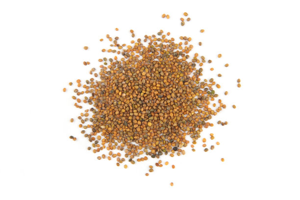 分离于白色背景上的火箭或芝麻菜种子。图片下载