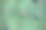 盛开的粉红色虎仙草顶视图背景图片下载