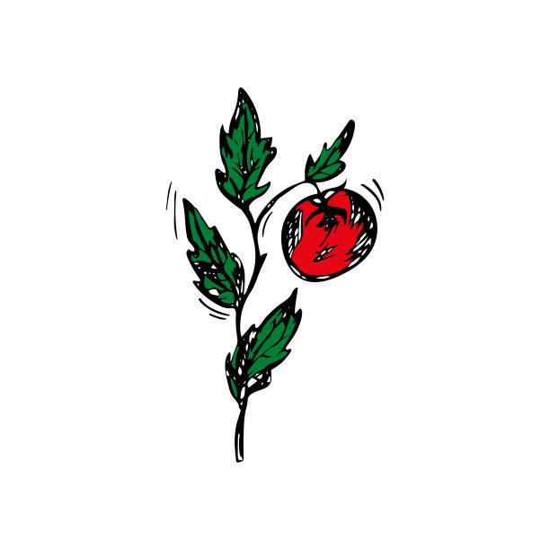 树枝上的番茄，一种图形风格的红色番茄图片下载