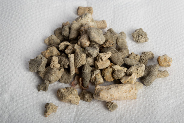 钙反应堆媒体。图片下载