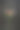 垂直静物与春天的花朵混合。图片下载