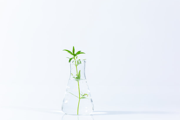 试管与透明溶液和植物隔离在白色背景的特写图片下载