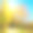 白桦林在阳光明媚的午后，而秋季季节。秋天的风景。乌克兰。图片下载