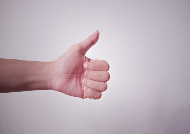 赫曼器官图片下载