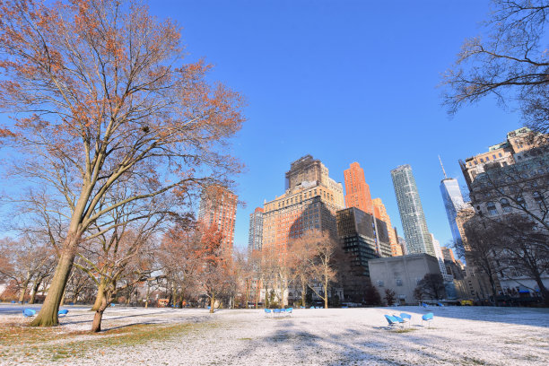 纽约的经验图片下载