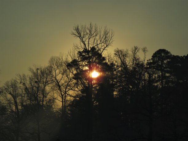 黄金嘀咕的日出图片下载