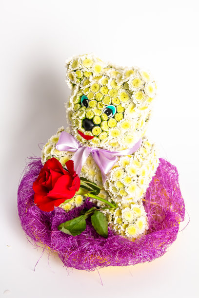 一束不同寻常的白色雏菊，以小熊的形式在白色的背景图片下载