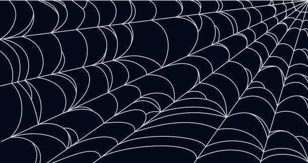 万圣节的蜘蛛网背景。万圣节黑暗主题墙纸。矢量图图片下载