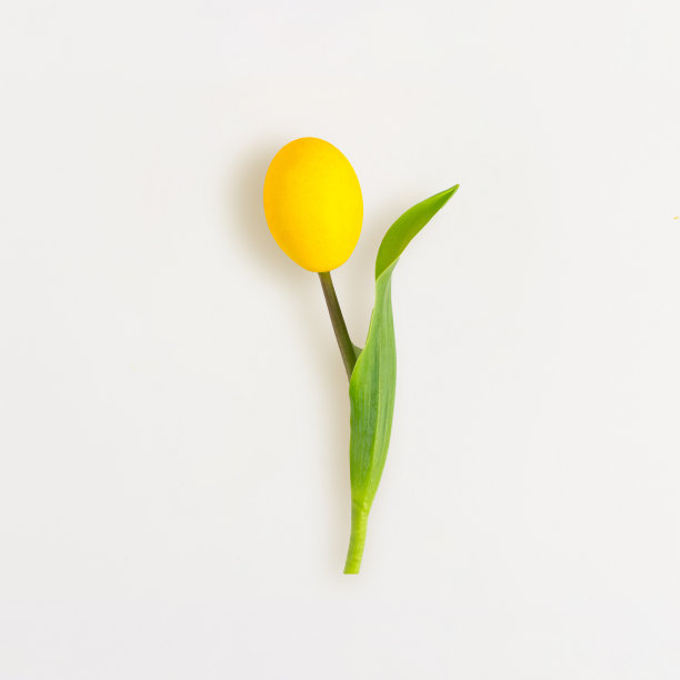 用黄色的复活节彩蛋做成郁金香花的创意作品。最小春假概念。平的。图片下载