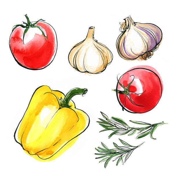 辣椒。用水彩画在白色背景上的黄色甜椒。用睫毛膏和颜料画蔬菜的彩色素描。农产品。图片下载