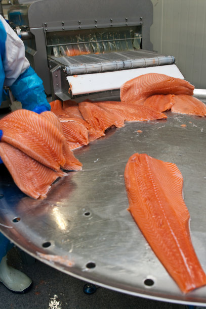 鲑鱼鱼厂加工线详细图片下载