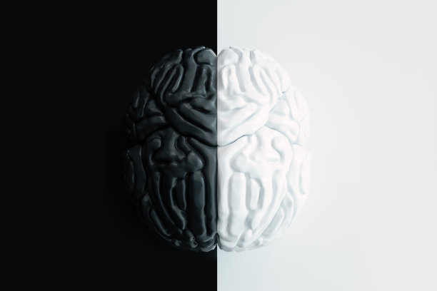 在黑白背景上的黑白大脑模型俯视图。图片下载