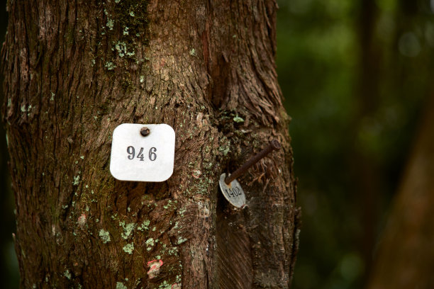 详细的环境控制标签在树干上图片下载