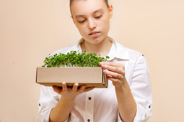 年轻的女农民拿着一个由有机芥菜芽制成的生态盒。日益增长的豆芽。有机产品。模糊地注视着一个女人的脸。图片下载