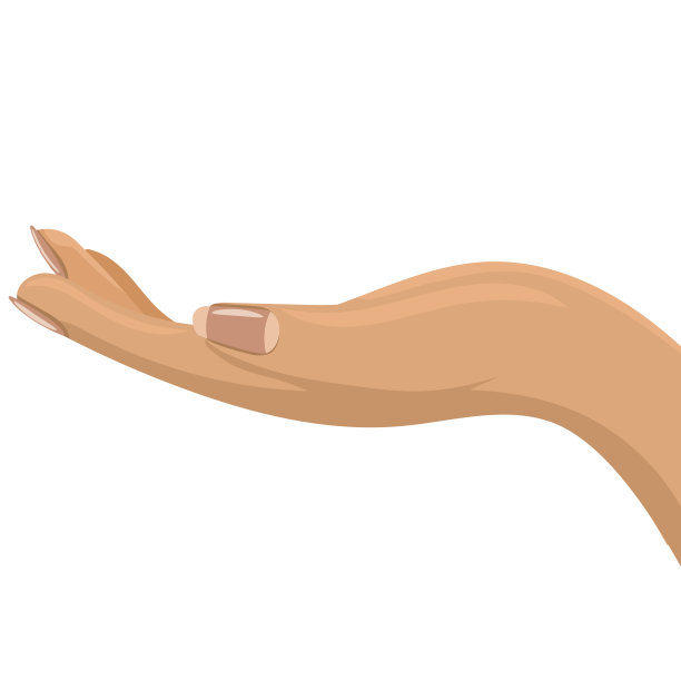 女性或女性手打开和侧视图。平面和纯色矢量插图。图片下载