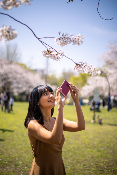 在公园里拍摄樱花的亚洲女人图片下载