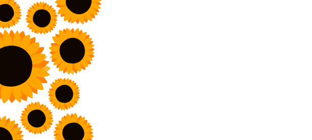 生日快乐，节日快乐，庆祝祝福和邀请卡。彩色的花横幅与向日葵在光的背景。布局模板。现代花卉夏季组成。本空间图片下载