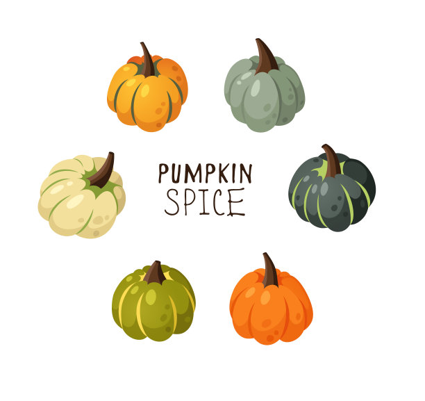 卡通南瓜香料季节图像与文本。手绘时尚蔬菜。矢量绘制新鲜有机食品和报价。夏季插图素食成分冰沙或派图片下载