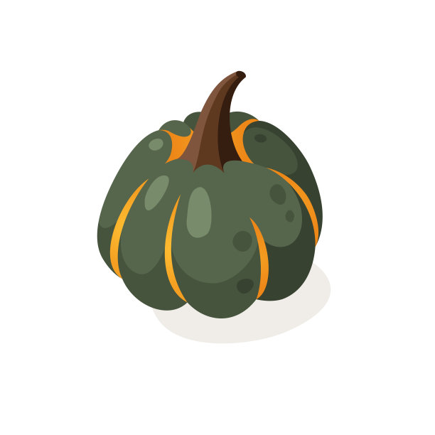 卡通南瓜香料季形象。手绘时尚蔬菜。矢量画新鲜的有机食品。夏日插画素食成分的冰沙或派图片下载