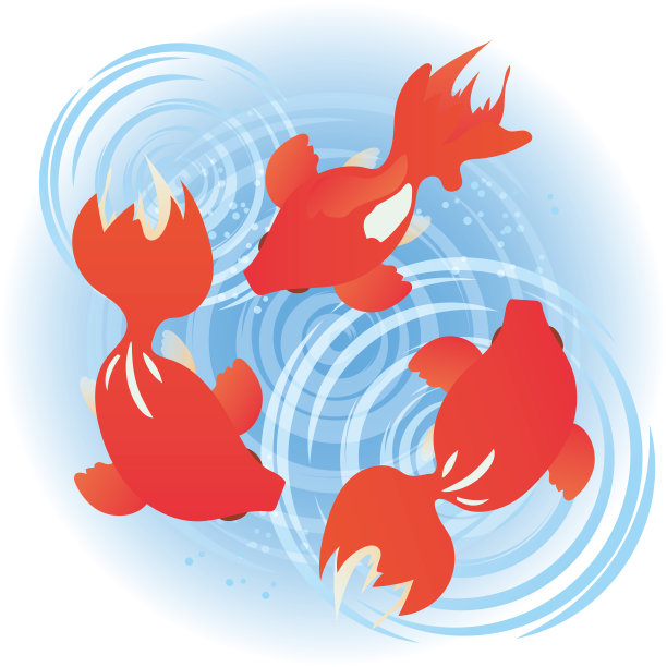 三只游动的金鱼和水波的插图图片下载