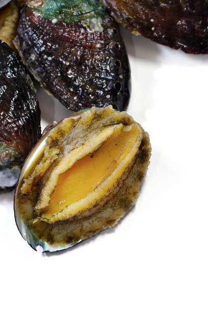 生鲍鱼孤立在白色背景上图片下载