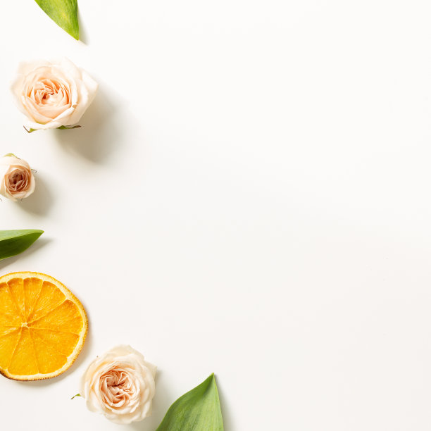 白色背景上的玫瑰花。花卉装饰。平铺，俯视图，拷贝空间图片下载