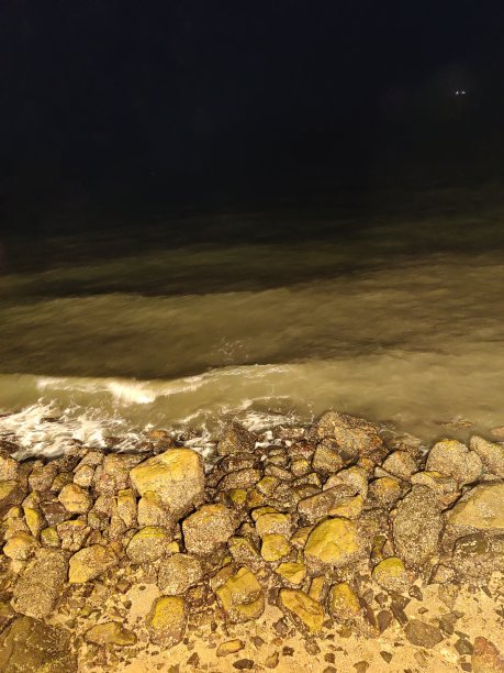 海岸线。图片下载