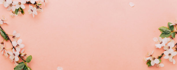 4月自然花卉。春天的花朵是粉红色的，五月的花朵是粉红色的。为条幅，枝上樱花盛开作背景。梦幻浪漫形象，景观全景，复制空间。图片下载