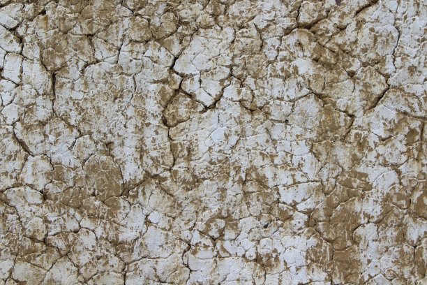 白色、肮脏、龟裂的纹理背景:旧谷仓粘土墙覆盖石灰图片下载