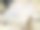 白杨上的露珠素材图片
