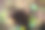 散景灯光的暗背景图片下载