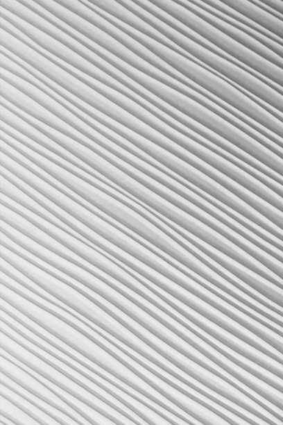 白色抽象条纹石膏背景。白灰色纹理与对角线，自然的背景图案，波浪钢设计条纹。图片下载