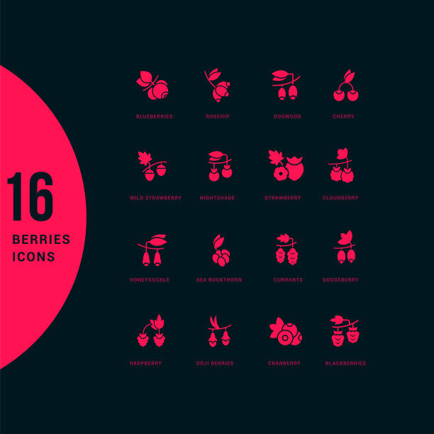 设置简单的图标浆果图片下载
