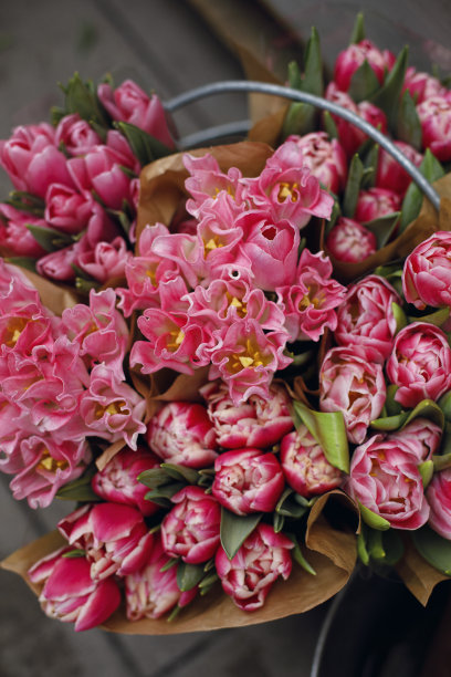 一束粉红色的郁金香送给母亲节或妇女节图片下载