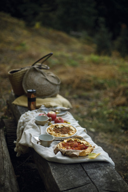 在背景模糊的森林里，在原木上用馅饼野餐图片下载