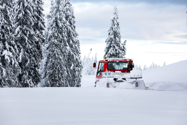 红色雪道毛虫为雪美容图片下载