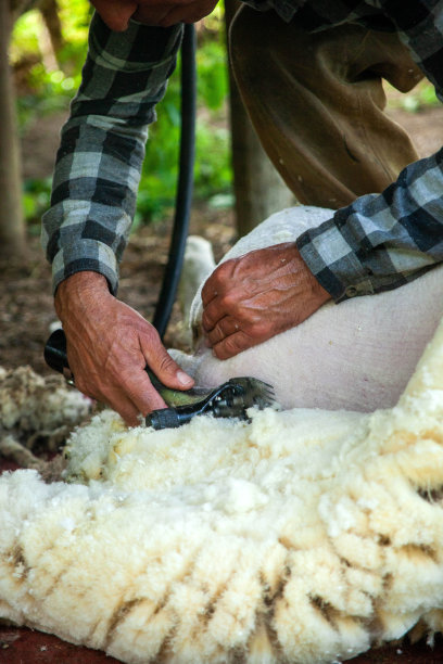 剪切的一天图片下载