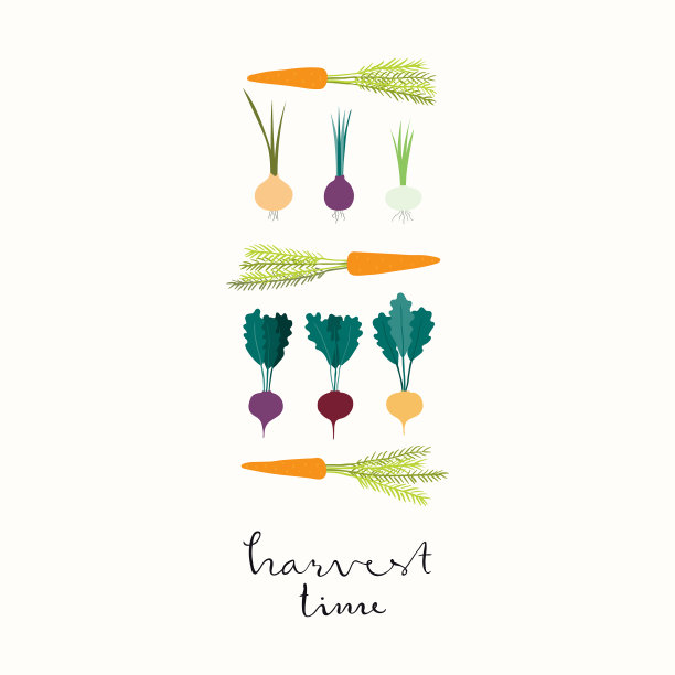 设置不同的扁根蔬菜图片下载