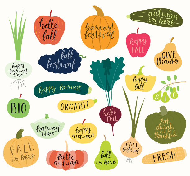 设置水果蔬菜秋收报价图片下载