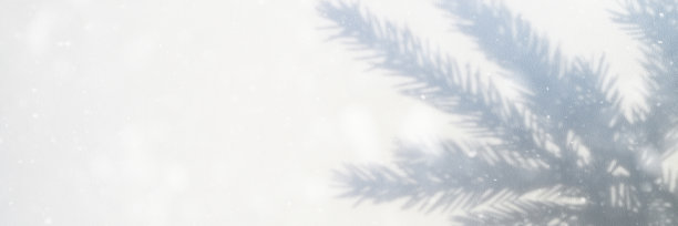 模糊的照片，一个影子从一个圣诞节树枝上的白灰色背景墙或桌子。雪下降。横幅图片下载