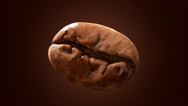 美丽的咖啡豆在空中旋转与亮度通道黑白3d渲染图片下载